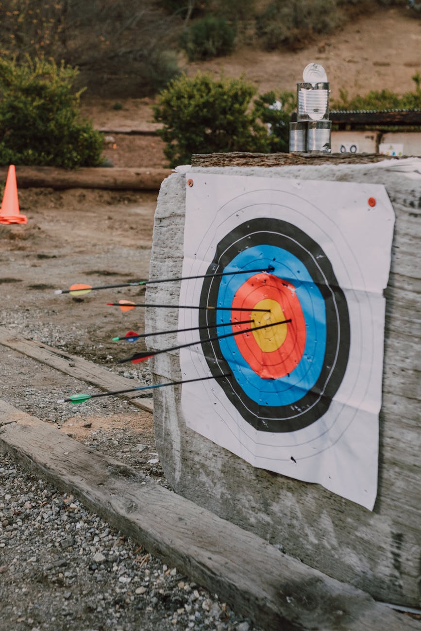 an archery target with few arrows