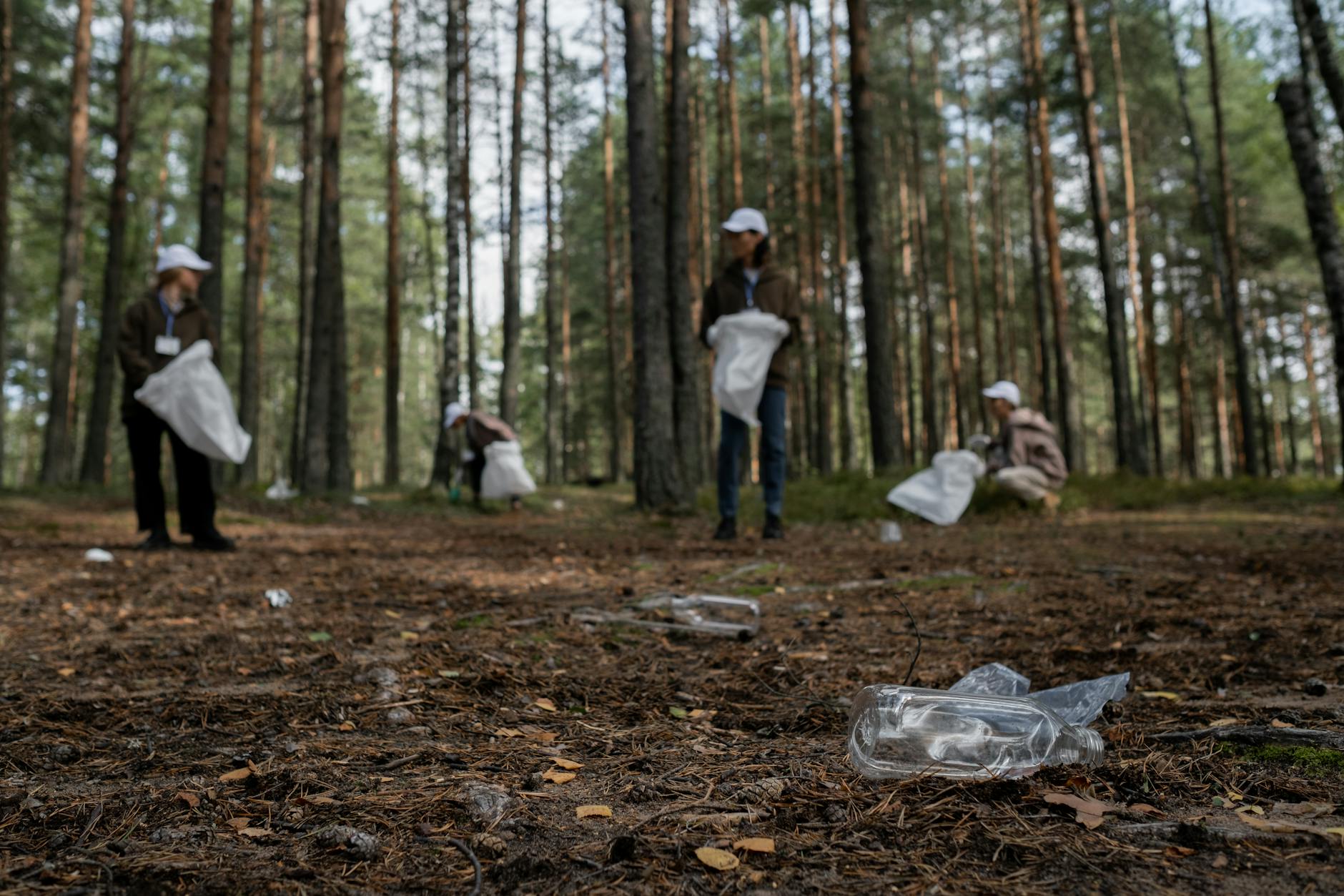 a cleanup community picking up recyclables in the forest